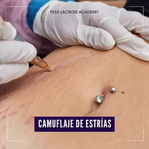 Cómo aprender camuflaje de estrías